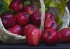 Polonia | El país europeo que gana terreno en el mercado de manzanas de Colombia Polonia | El país europeo que gana terreno en el mercado de manzanas de Colombia