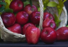 Polonia | El país europeo que gana terreno en el mercado de manzanas de Colombia Polonia | El país europeo que gana terreno en el mercado de manzanas de Colombia