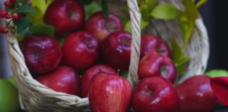 Polonia | El país europeo que gana terreno en el mercado de manzanas de Colombia Polonia | El país europeo que gana terreno en el mercado de manzanas de Colombia