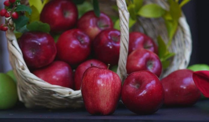 Polonia | El país europeo que gana terreno en el mercado de manzanas de Colombia
