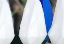 Vuelve el Premio Territorio Circular en su 4ª versión para destacar modelos de negocio sostenibles