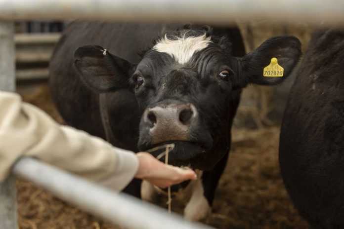 unnamed - 2026-06-30T182358.545 Día Mundial de la Zoonosis: 3 de cada 4 enfermedades infecciosas nuevas tienen origen animal