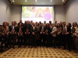 Reportaje | 16 Fiestas de la Vendimia reciben el Sello 2026 y consolidan un estándar nacional para el enoturismo chileno 16 Fiestas de la Vendimia reciben el Sello 2026 y consolidan un estándar nacional para el enoturismo chileno