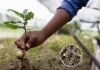 India abre una oportunidad millonaria para los biológicos y mira el agro del futuro India abre una oportunidad millonaria para los biológicos y mira el agro del futuro