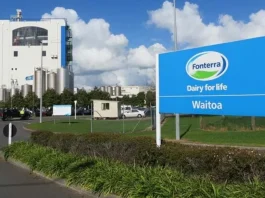 Fonterra redujo en 5% el precio de la leche en Nueva Zelanda