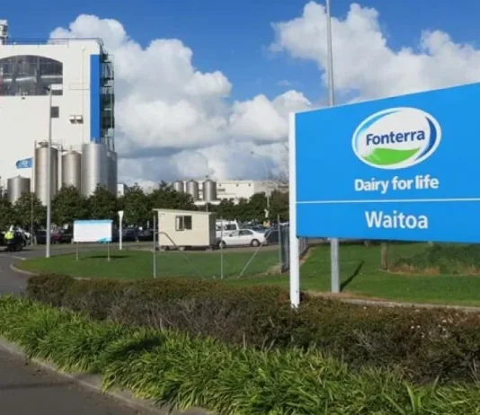 Fonterra redujo en 5% el precio de la leche en Nueva Zelanda Fonterra redujo en 5% el precio de la leche en Nueva Zelanda