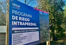 Agricultora de Alto Biobío pone en marcha primer sistema de riego fotovoltaico con apoyo de INDAP Agricultora de Alto Biobío pone en marcha primer sistema de riego fotovoltaico con apoyo de INDAP