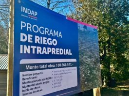 Agricultora de Alto Biobío pone en marcha primer sistema de riego fotovoltaico con apoyo de INDAP Agricultora de Alto Biobío pone en marcha primer sistema de riego fotovoltaico con apoyo de INDAP