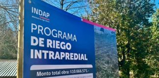 Agricultora de Alto Biobío pone en marcha primer sistema de riego fotovoltaico con apoyo de INDAP