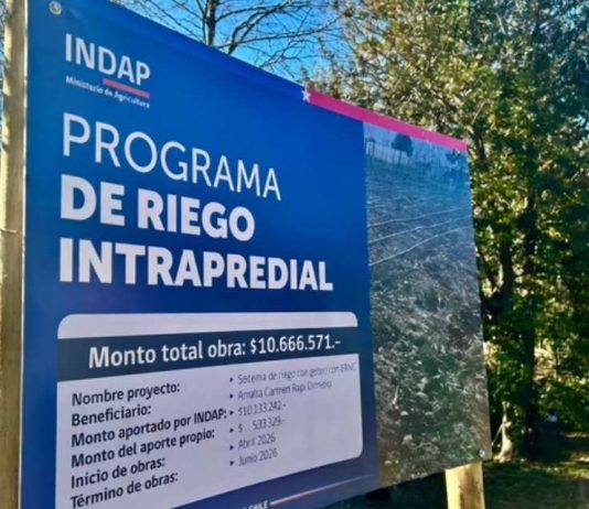 Agricultora de Alto Biobío pone en marcha primer sistema de riego fotovoltaico con apoyo de INDAP Agricultora de Alto Biobío pone en marcha primer sistema de riego fotovoltaico con apoyo de INDAP
