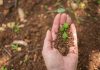 Analizan proyecciones globales de la bioeconomía y su implicancia en el desarrollo Analizan proyecciones globales de la bioeconomía y su implicancia en el desarrollo