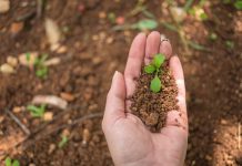 Analizan proyecciones globales de la bioeconomía y su implicancia en el desarrollo Analizan proyecciones globales de la bioeconomía y su implicancia en el desarrollo