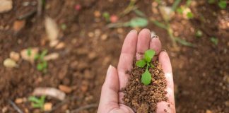 Noticia: Analizan proyecciones globales de la bioeconomía y su implicancia en el...