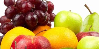 Anuario Estadístico 2026 de la SFA: Hemisferio Sur consolida su liderazgo frutícola global concentrando más del 31% de las exportaciones mundiales de especies templadas por un monto de US$15.000 millones Anuario Estadístico 2026 de la SFA: