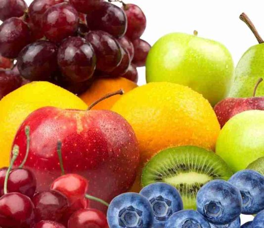 Anuario Estadístico 2026 de la SFA: Hemisferio Sur consolida su liderazgo frutícola global concentrando más del 31% de las exportaciones mundiales de especies templadas por un monto de US$15.000 millones Anuario Estadístico 2026 de la SFA: