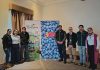 Arándanos de Biobío y Ñuble avanzan en la implementación del Systems Approach para sus exportaciones