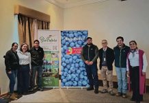 Arándanos de Biobío y Ñuble avanzan en la implementación del Systems Approach para sus exportaciones