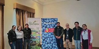 Arándanos de Biobío y Ñuble avanzan en la implementación del Systems Approach para sus exportaciones Arándanos de Biobío y Ñuble avanzan en la implementación del Systems Approach para sus exportaciones