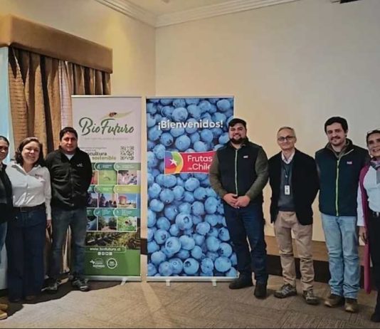 Arándanos de Biobío y Ñuble avanzan en la implementación del Systems Approach para sus exportaciones