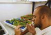 Argentina Identifican un mecanismo para activar el sistema de defensa de las plantas Argentina Identifican un mecanismo para activar el sistema de defensa de las plantas