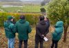 Autoridades del Agro visitan predio ganadero en Arauco para verificar funcionamiento del programa de Trazabilidad Animal del SAG