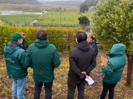 Autoridades del Agro visitan predio ganadero en Arauco para verificar funcionamiento del programa de Trazabilidad Animal del SAG Autoridades del Agro visitan predio ganadero en Arauco para verificar funcionamiento del programa de Trazabilidad Animal del SAG