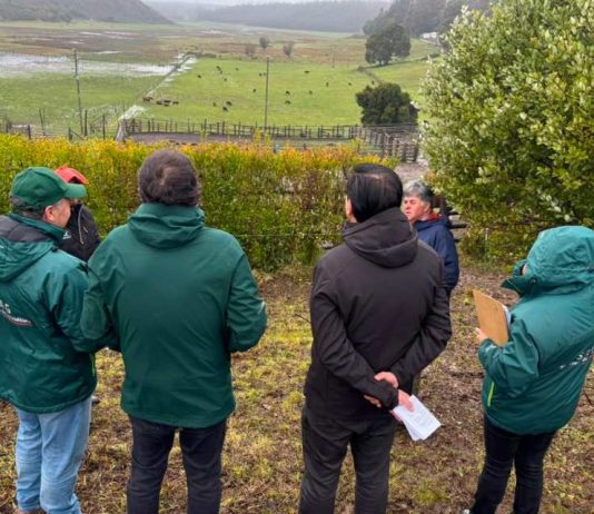 Autoridades del Agro visitan predio ganadero en Arauco para verificar funcionamiento del programa de Trazabilidad Animal del SAG Autoridades del Agro visitan predio ganadero en Arauco para verificar funcionamiento del programa de Trazabilidad Animal del SAG