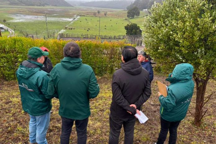 Autoridades del Agro visitan predio ganadero en Arauco para verificar funcionamiento del programa de Trazabilidad Animal del SAG Autoridades del Agro visitan predio ganadero en Arauco para verificar funcionamiento del programa de Trazabilidad Animal del SAG