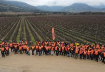 Bahco realizó la 7.ma edición del Concurso de Poda Profesional en Vid en Chile Bahco realizó la 7.ma edición del Concurso de Poda Profesional en Vid en Chile