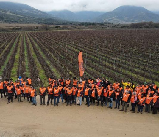 Bahco realizó la 7.ma edición del Concurso de Poda Profesional en Vid en Chile Bahco realizó la 7.ma edición del Concurso de Poda Profesional en Vid en Chile