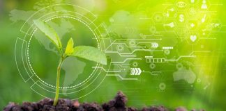 Descubre cómo la agricultura e Internet de las Cosas permiten monitorizar cultivos y optimizar el riego mediante sensores y datos en tiempo real. Descubre cómo la agricultura e Internet de las Cosas permiten monitorizar cultivos y optimizar el riego mediante sensores y datos en tiempo real.