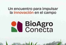 “BioAgro Conecta 2026”: El gran encuentro que busca posicionar Chile como polo de agro-innovación desde la Región de O’Higgins “BioAgro Conecta 2026”: El gran encuentro que busca posicionar Chile como polo de agro-innovación desde la Región de O’Higgins