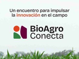 “BioAgro Conecta 2026”: El gran encuentro que busca posicionar Chile como polo de agro-innovación desde la Región de O’Higgins “BioAgro Conecta 2026”: El gran encuentro que busca posicionar Chile como polo de agro-innovación desde la Región de O’Higgins