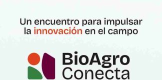 “BioAgro Conecta 2026”: El gran encuentro que busca posicionar Chile como polo de agro-innovación desde la Región de O’Higgins “BioAgro Conecta 2026”: El gran encuentro que busca posicionar Chile como polo de agro-innovación desde la Región de O’Higgins
