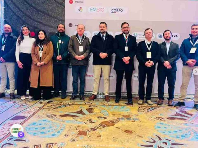 BioAgro Conecta 2026 Inicia con Alta Convocatoria y Consolida a O’Higgins como Polo de Innovación Agroalimentaria