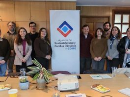 Biobío conforma comité público-privado para impulsar el manejo sustentable y la recuperación del bosque nativo Biobío conforma comité público-privado para impulsar el manejo sustentable y la recuperación del bosque nativo