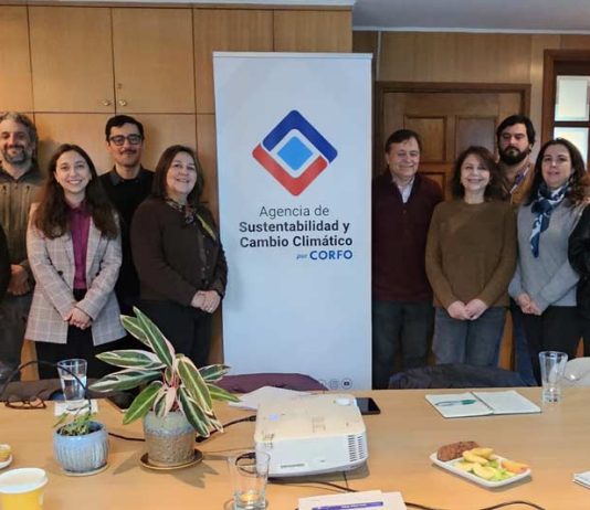 Biobío conforma comité público-privado para impulsar el manejo sustentable y la recuperación del bosque nativo