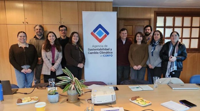 Biobío conforma comité público-privado para impulsar el manejo sustentable y la recuperación del bosque nativo Biobío conforma comité público-privado para impulsar el manejo sustentable y la recuperación del bosque nativo