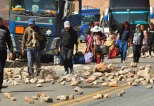 Bolivia |Tras casi dos meses de bloqueos productores lecheros bolivianos se declaran en quiebra Bolivia |Tras casi dos meses de bloqueos productores lecheros bolivianos se declaran en quiebra