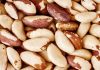 Brasil | Las nueces de Brasil producidas por los pueblos indígenas reciben una compensación económica Brasil | Las nueces de Brasil producidas por los pueblos indígenas reciben una compensación económica