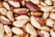 Brasil | Las nueces de Brasil producidas por los pueblos indígenas reciben una compensación económica