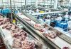 Brasil espera la decisión final de la UE ante el riesgo de un veto a sus carnes Brasil espera la decisión final de la UE ante el riesgo de un veto a sus carnes
