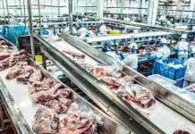 Brasil espera la decisión final de la UE ante el riesgo de un veto a sus carnes Brasil espera la decisión final de la UE ante el riesgo de un veto a sus carnes