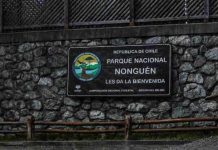 CONAF dispone el cierre preventivo del Parque Nacional Nonguén por sistema frontal CONAF dispone el cierre preventivo del Parque Nacional Nonguén por sistema frontal