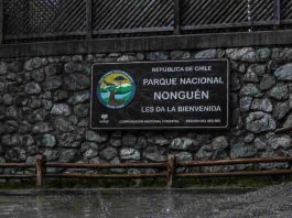 CONAF dispone el cierre preventivo del Parque Nacional Nonguén por sistema frontal CONAF dispone el cierre preventivo del Parque Nacional Nonguén por sistema frontal