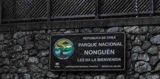 CONAF dispone el cierre preventivo del Parque Nacional Nonguén por sistema frontal CONAF dispone el cierre preventivo del Parque Nacional Nonguén por sistema frontal