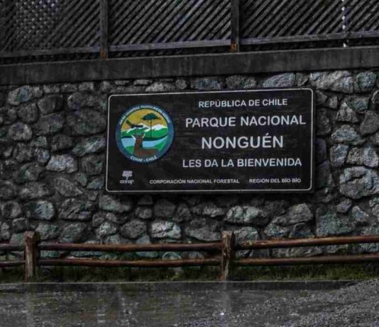 CONAF dispone el cierre preventivo del Parque Nacional Nonguén por sistema frontal CONAF dispone el cierre preventivo del Parque Nacional Nonguén por sistema frontal