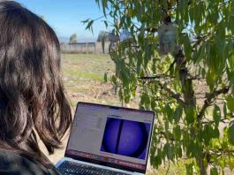 «CaviCam»: Monitoreo hídrico en tiempo real para optimizar el riego en la fruticultura chilena "CaviCam": Monitoreo hídrico en tiempo real para optimizar el riego en la fruticultura chilena