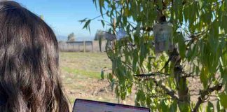 «CaviCam»: Monitoreo hídrico en tiempo real para optimizar el riego en la fruticultura chilena "CaviCam": Monitoreo hídrico en tiempo real para optimizar el riego en la fruticultura chilena