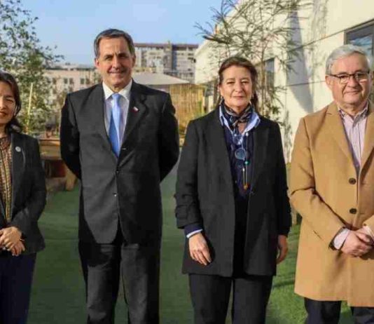 Chile impulsará histórico plan de USD 39 millones para masificar la agricultura y ganadería regenerativa